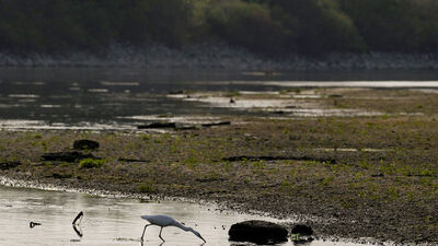 İtalya'da kuraklık alarmı: OHAL ilan edildi!