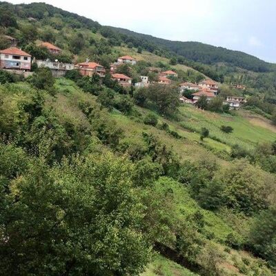 Haber alınamayan yaşlı adam cinayete kurban gitmiş!