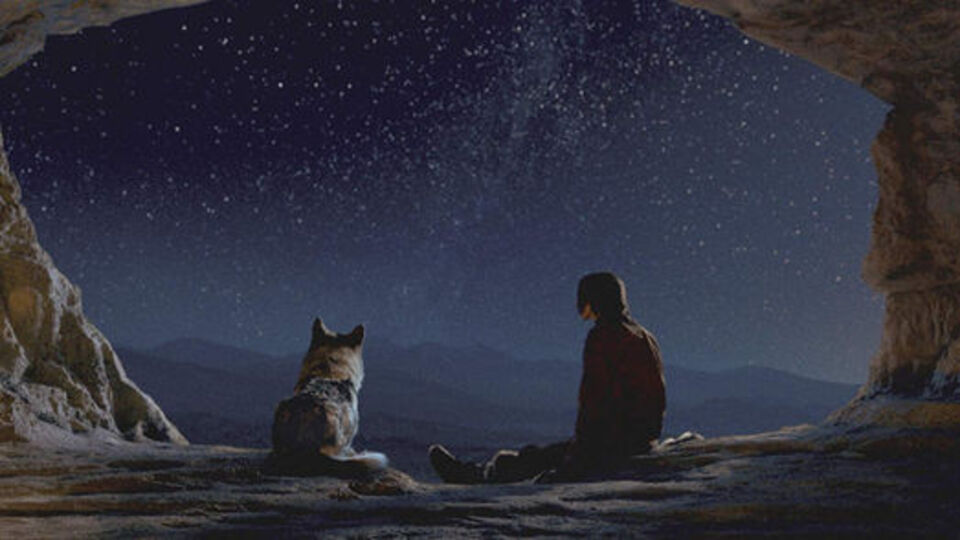 Alfa Kurt filminin konusu ve oyuncu kadrosu