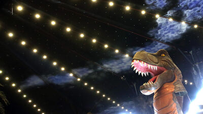 ANKAPARK belediyeye devrediliyor