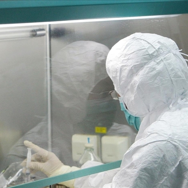 Panama'da ilk maymun çiçeği vakası