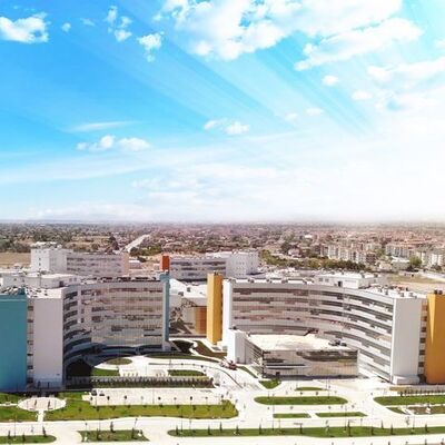 Konya Şehir Hastanesi'nde dehşet! Doktoru vurdu, intihar etti!