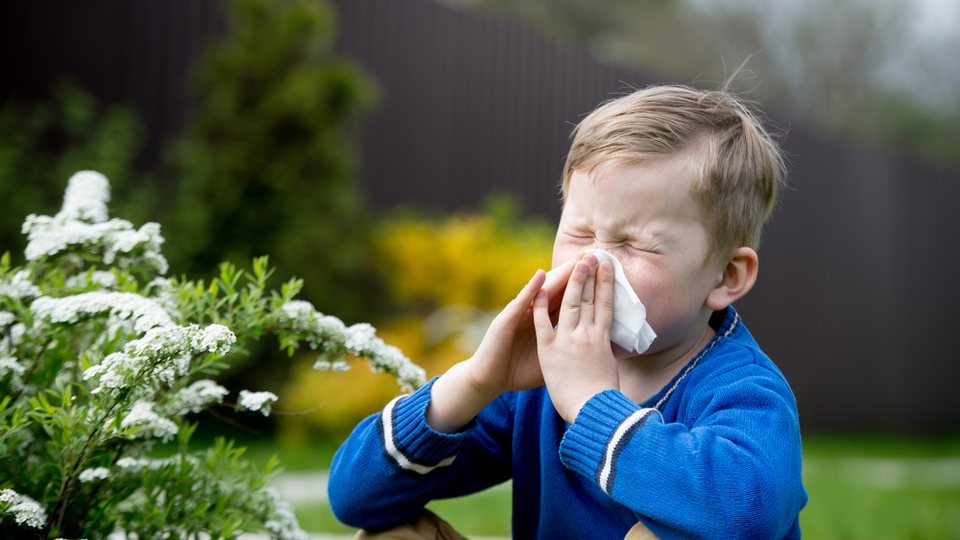 Çocuklarda mevsimsel alerji belirtileri
