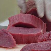 Salmonella riskine dikkat!