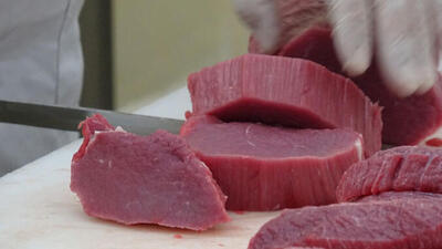 Salmonella riskine dikkat!