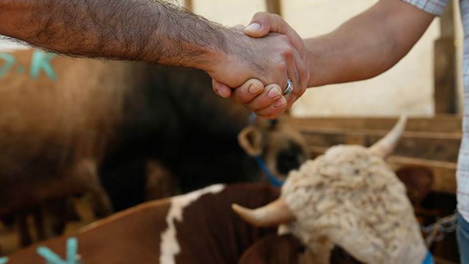 Kurban vekaleti nasıl verilir?