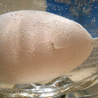 Marketten alıp kuluçkaya yatırdı, işte sonuç!