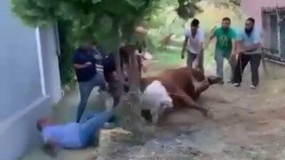 Tek hamlede 7 kişiyi savurdu!