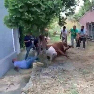 Tek hamlede 7 kişiyi savurdu!