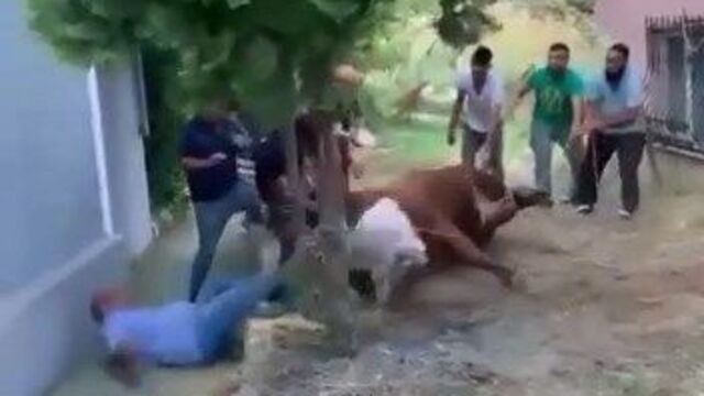 Tek hamlede 7 kişiyi savurdu!