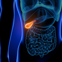 Safra kesesi kanseri belirtileri ve tedavisi