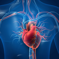Kalp büyümesi belirtileri ve tedavisi