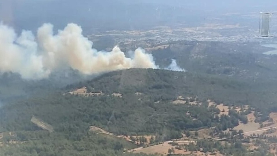 Bodrum'daki orman yangını kontrol altında