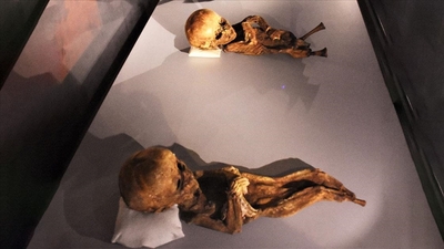 Bebek mumyaları görmek ister misiniz?