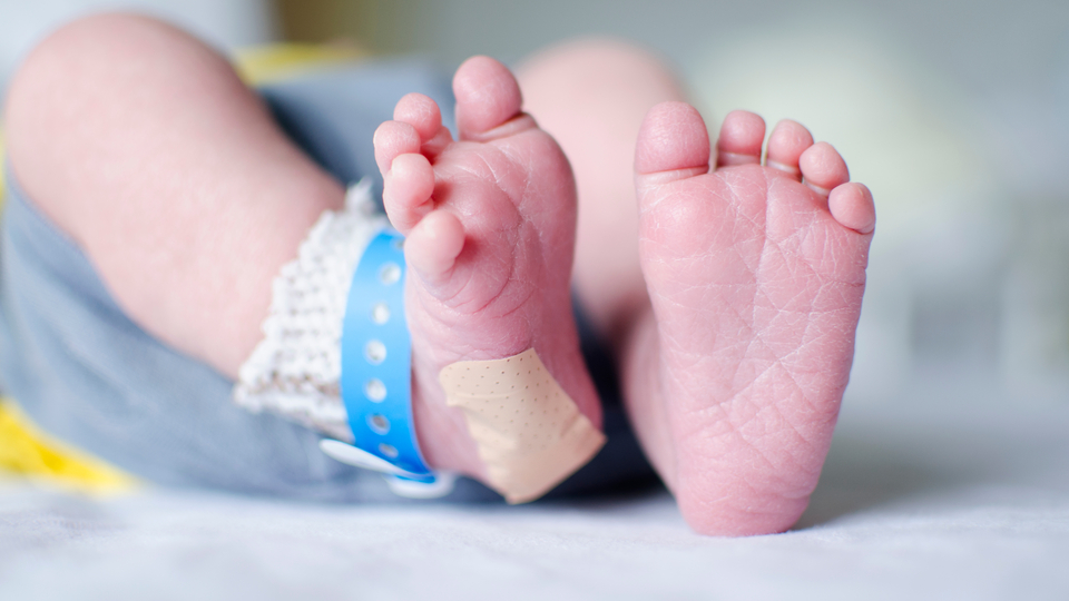 Aileler topuk kanı taramasını reddediyor