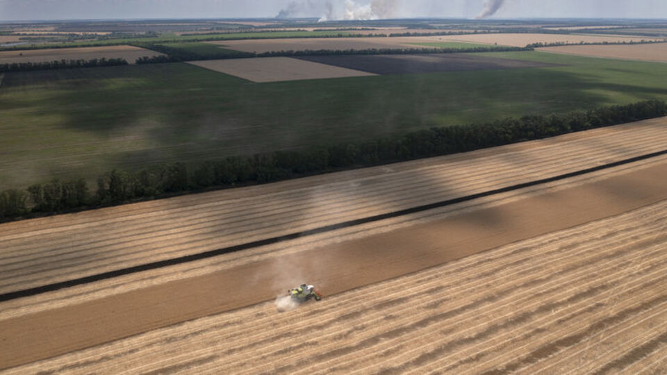 İstanbul'da tahıl koridoru görüşmeleri
