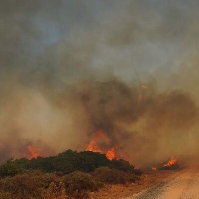Doğu Karadeniz'de yağmur; Marmara ve Ege'de kuvvetli rüzgar