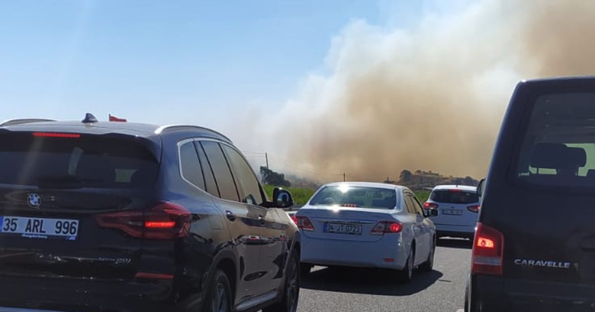 Son Dakika: İzmir Bergama'da Orman Yangını! Kontrol Altına Alındı