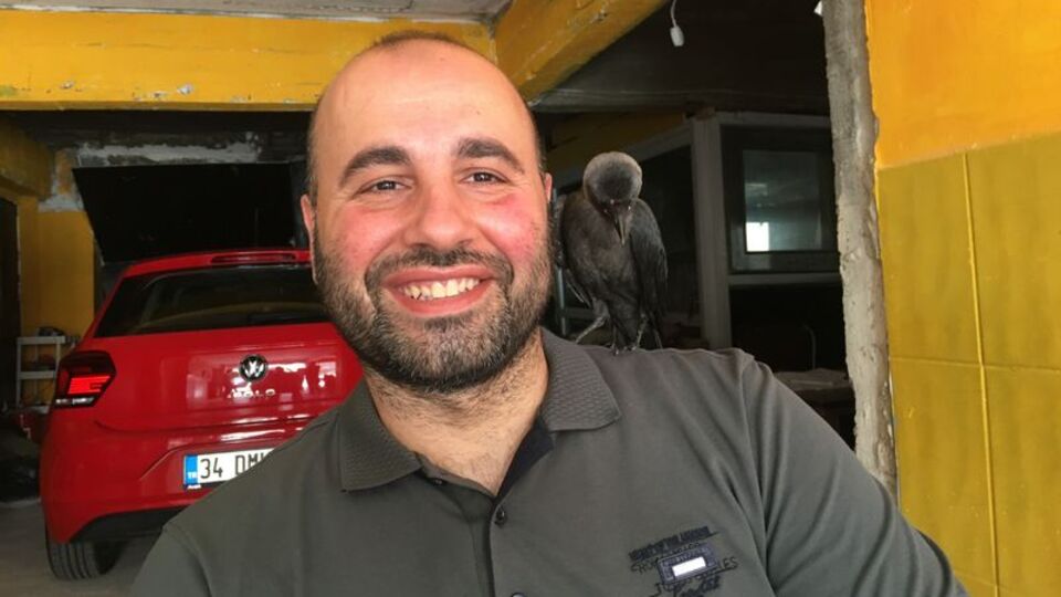 Otopark işletmecisinin karga ile dostluğu görenleri şaşırtıyor