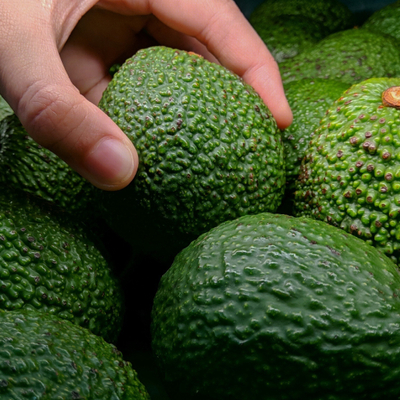 Avokado tüketiminde bu hata kilo aldırıyor!