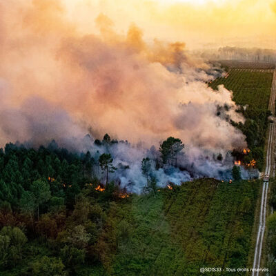 Avrupa ve ABD'de orman yangınlarıyla mücadele sürüyor