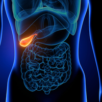 Safra Kesesi Taşı Belirtileri ve Tedavisi