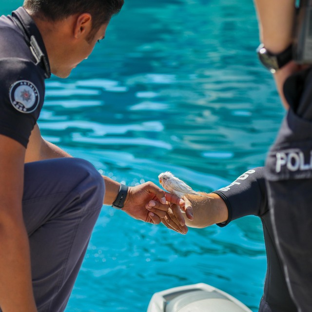 Denize düştü... Polis jet-ski ile kurtardı