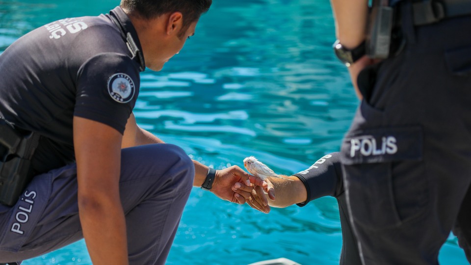 Denize düştü... Polis jet-ski ile kurtardı
