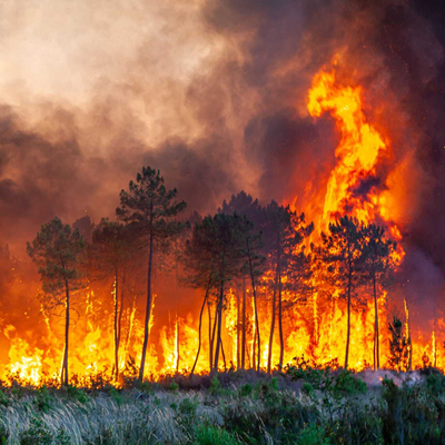 Fransa'daki yangın 7 gündür söndürülemiyor!