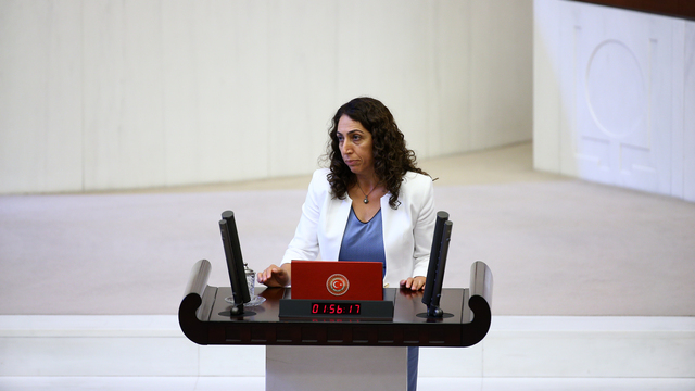 DBP'li Aydeniz raporu, Anayasa-Adalet Komisyonu'nda