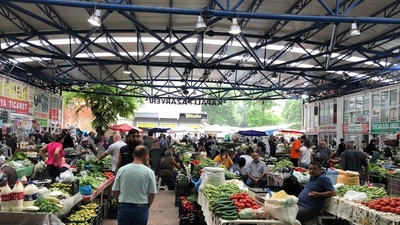 Pazardan'a 3.1 milyon TL tohum yatırımı