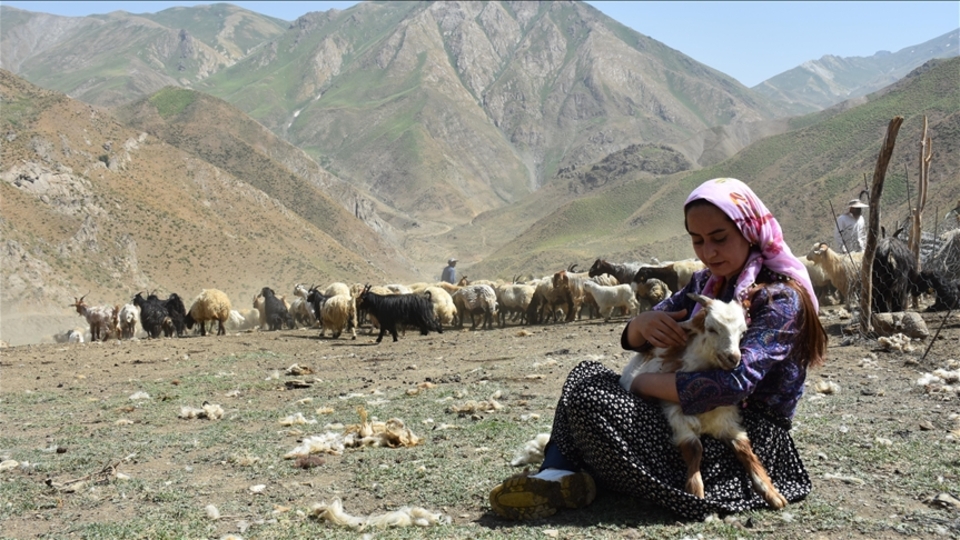 İki üniversite bitirdi! Hayvancılıktaki başarısıyla örnek oldu