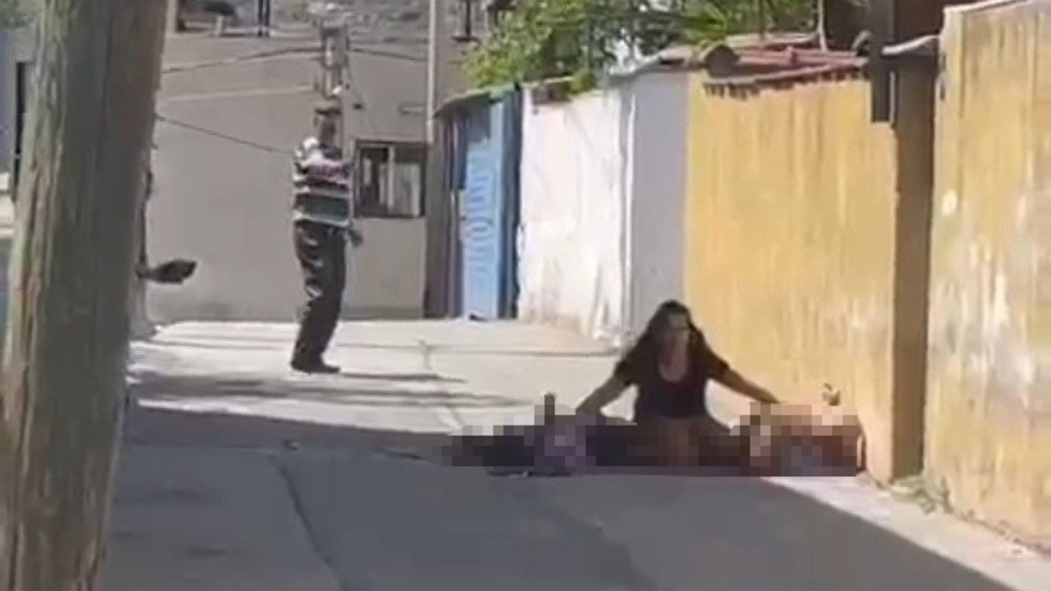 Köpek besleme katliamından 20 yıllık husumet çıktı!