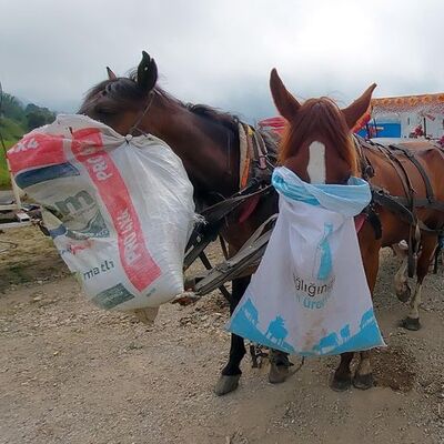 Abant Milli Parkı'nda fayton yasaklandı