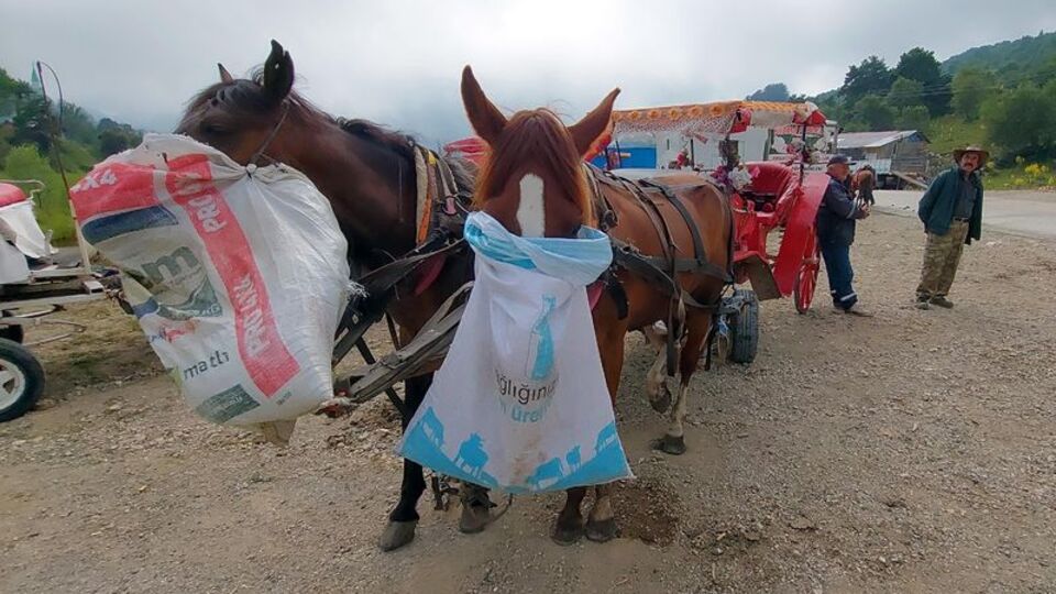 Abant Milli Parkı'nda fayton yasaklandı