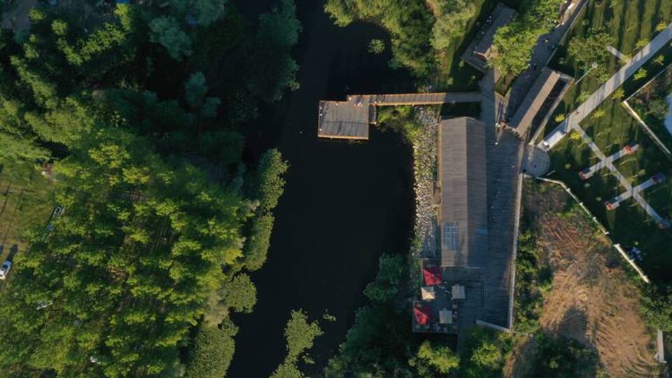 Türkiye'nin tek parça halindeki en büyük subasar ormanı açıldı!