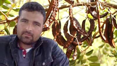 'Keçiboynuzu' cinayeti şüphelileri yakalandı