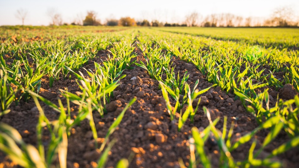 Tarımsal girdi enflasyonunda rekor