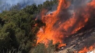 Seferihisar'da iki noktada orman yangını!