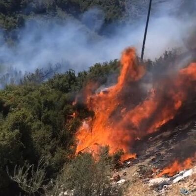 Seferihisar'da iki noktada orman yangını!