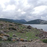 Cengiz İnşaat'tan Cennet Koyu açıklaması