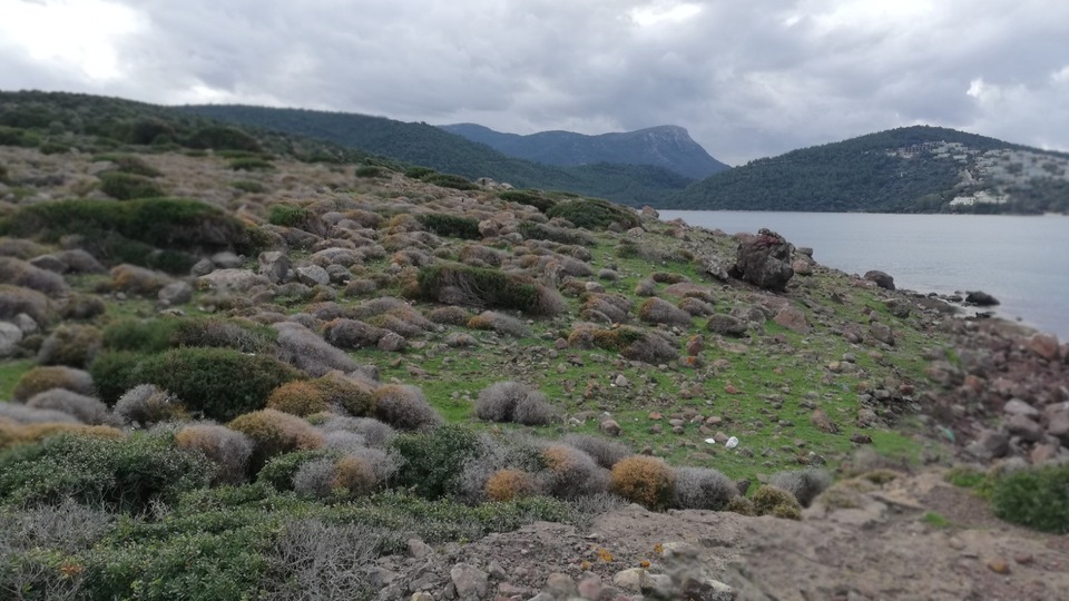 Cengiz İnşaat'tan Cennet Koyu açıklaması