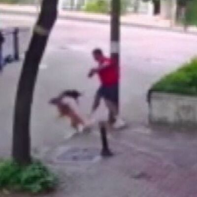 O anlar kamerada! Kediden feci saldırı!