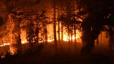 Kütahya ve Manisa'daki yangınlarda son durum