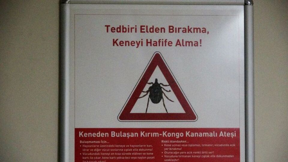 Tokat'ta kene ısıran yaşlı adam öldü