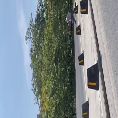 Asırlık ağaç devrildi! Olayda 2 kişi yaralandı