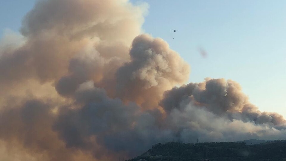 Bu kez de Aydın yanıyor! İlçeyi dumanlar sardı