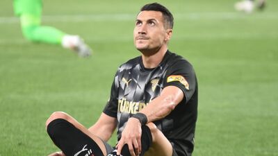 Adis Jahovic, Bodrumspor´da