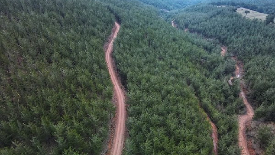 Rize'de ormana giriş yasağı