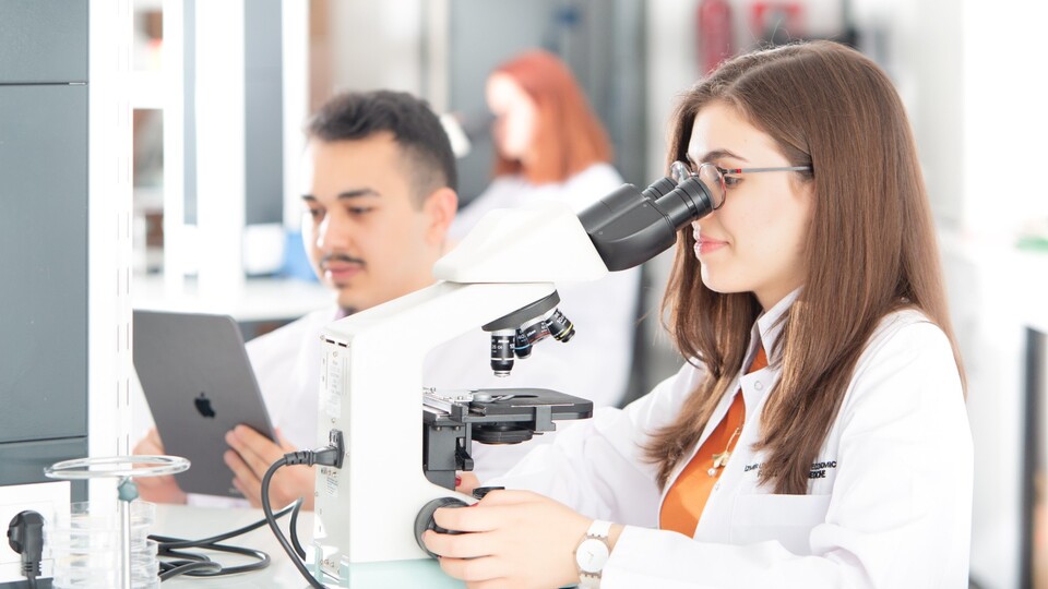 Üniversite tercihleri başlıyor! İşte revaçta olan meslekler